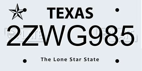 2ZWG985 Texas License Plate