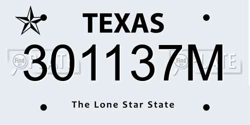 301137M Texas License Plate