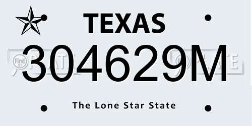 304629M Texas License Plate