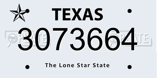 3073664 Texas License Plate