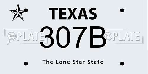 307B Texas License Plate