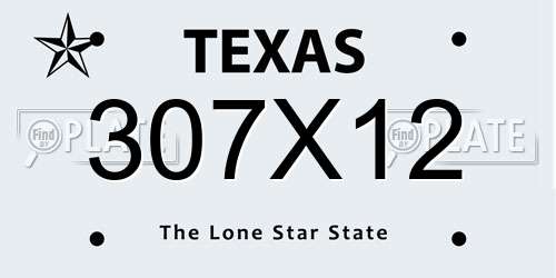 307X12 Texas License Plate