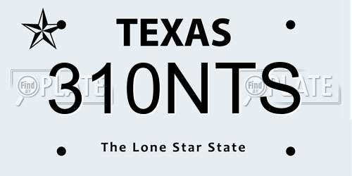 310NTS Texas License Plate