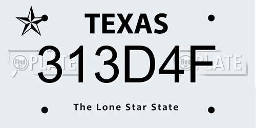 313D4F Texas License Plate
