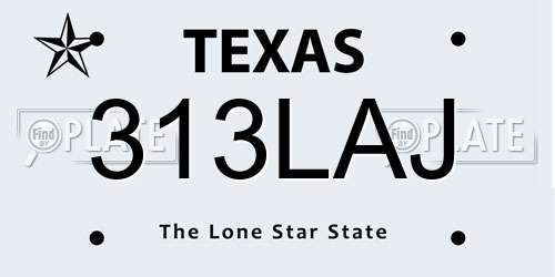 313LAJ Texas License Plate