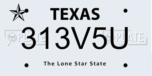 313V5U Texas License Plate