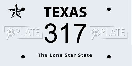 317 Texas License Plate