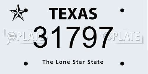 31797 Texas License Plate