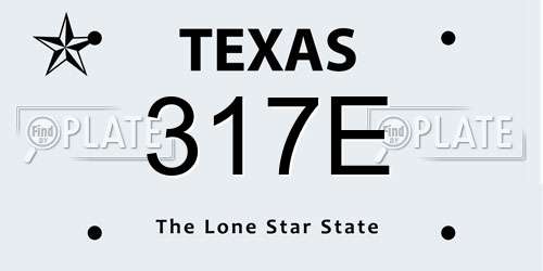 317E Texas License Plate