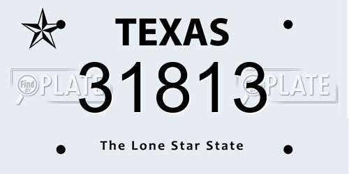 31813 Texas License Plate