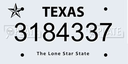 3184337 Texas License Plate