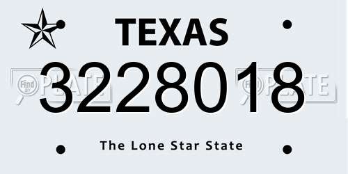 3228018 Texas License Plate
