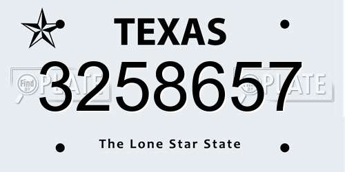 3258657 Texas License Plate