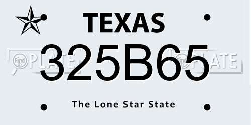325B65 Texas License Plate