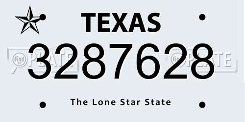 3287628 Texas License Plate