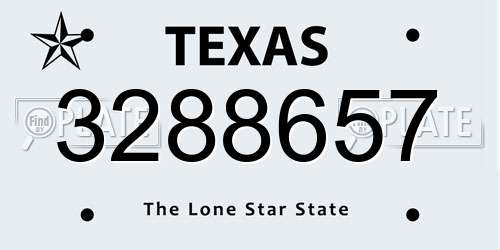 3288657 Texas License Plate