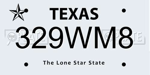 329WM8 Texas License Plate