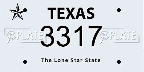 3317 Texas License Plate