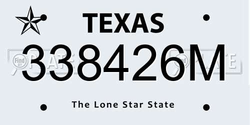 338426M Texas License Plate