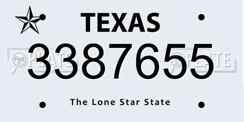 3387655 Texas License Plate