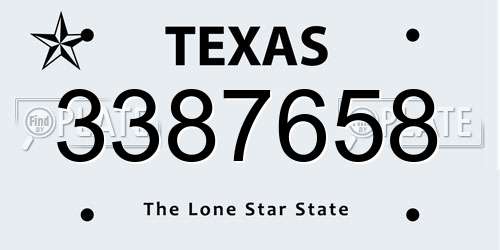 3387658 Texas License Plate