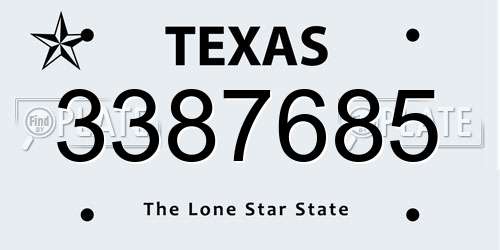 3387685 Texas License Plate