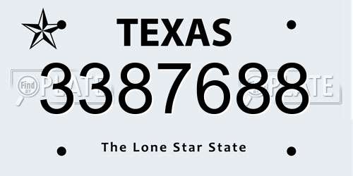 3387688 Texas License Plate