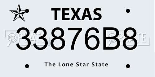 33876B8 Texas License Plate