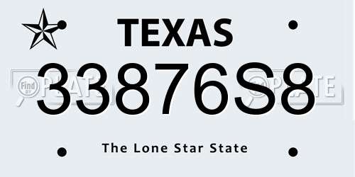 33876S8 Texas License Plate