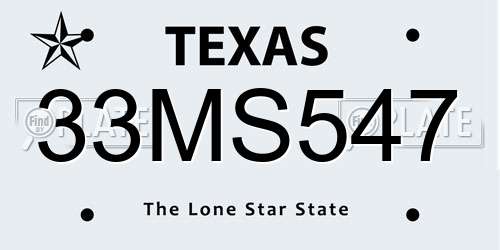 33MS547 Texas License Plate
