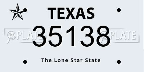 35138 Texas License Plate
