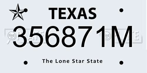 356871M Texas License Plate