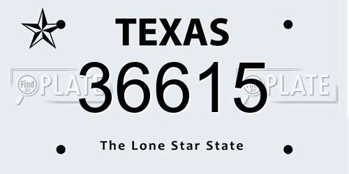 36615 Texas License Plate