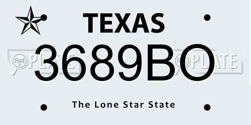 3689BO Texas License Plate