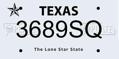 3689SQ Texas License Plate