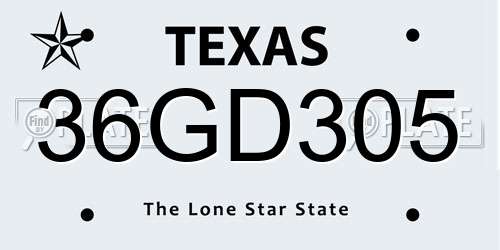36GD305 Texas License Plate