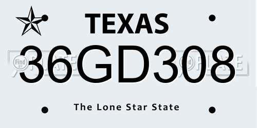 36GD308 Texas License Plate