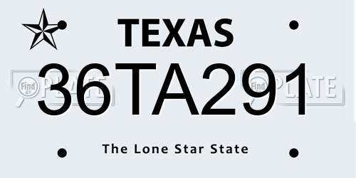 36TA291 Texas License Plate