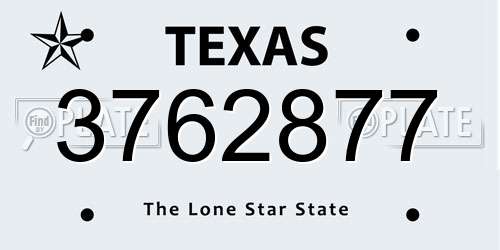 3762877 Texas License Plate