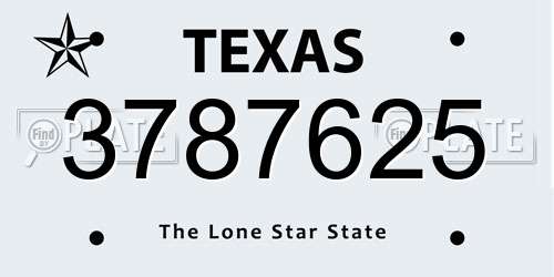 3787625 Texas License Plate