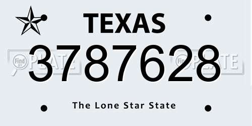 3787628 Texas License Plate