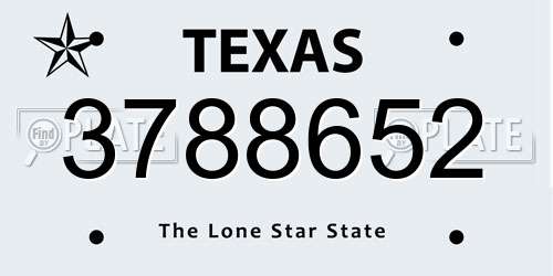 3788652 Texas License Plate
