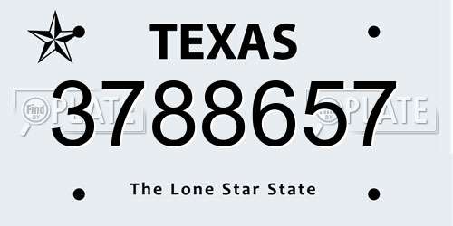 3788657 Texas License Plate