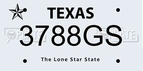 3788GS Texas License Plate