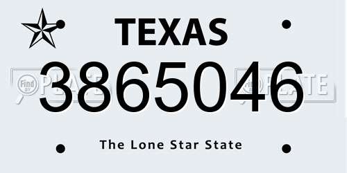 3865046 Texas License Plate