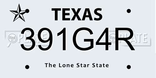 391G4R Texas License Plate