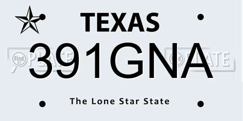 391GNA Texas License Plate