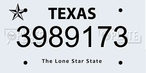 3989173 Texas License Plate