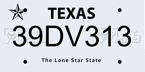39DV313 Texas License Plate