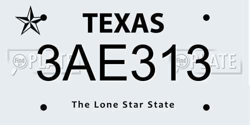 3AE313 Texas License Plate